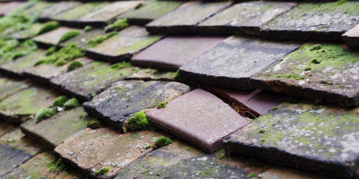 Blakedown roof repair costs